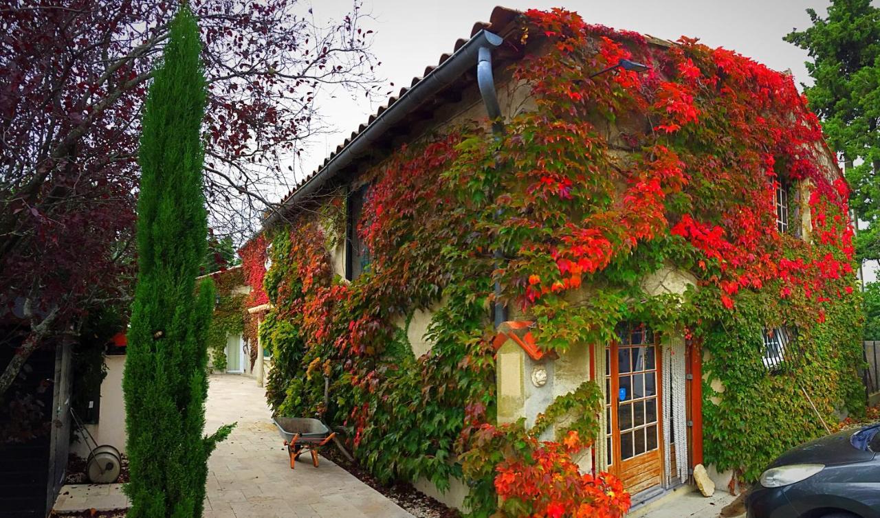 Le Mas Des Abeilles - Chambres D'Hotes En Drome Provencale La Bégude-de-Mazenc Eksteriør bilde